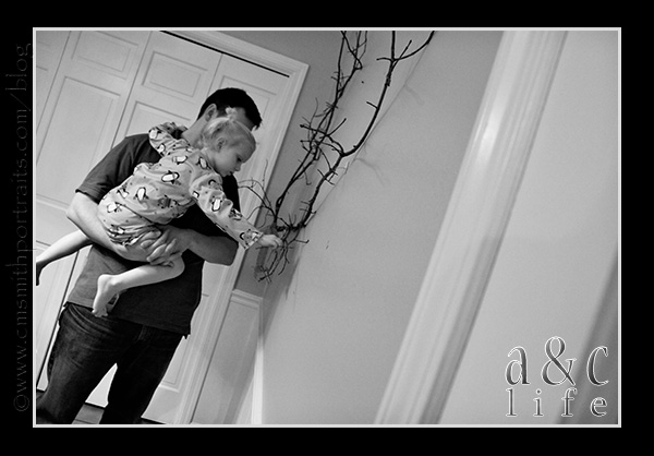 jessetree1-042 jessetree1-042